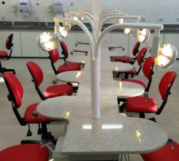 Laboratrio Multidisciplinar Ergoart - Martins Desing