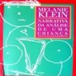 NARRATIVA DA ANLISE DE UMA CRIANA