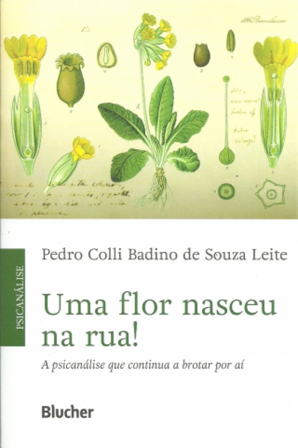 UMA FLOR NASCEU NA RUA - A PSICANÁLISE QUE CONTINUA A BROTAR POR AÍ