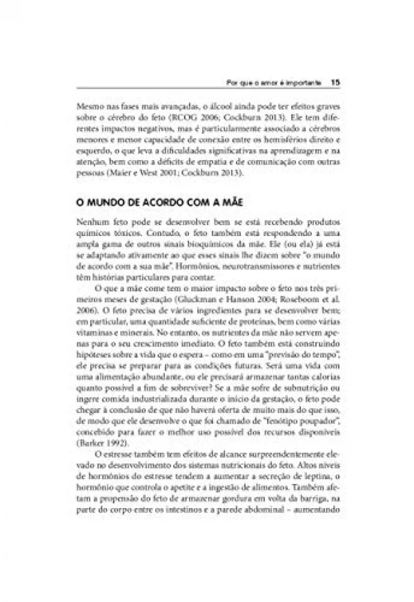Por que o Amor é Importante: Como o Afeto Molda o Cérebro do Bebê