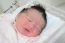 Sophia. Foto 1