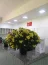 Empresrio entrega 20 vasos de flor para profissionais da sade do HUB. Foto 2