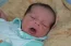 Beb Heitor Felipe, dos papais Paloma Luiza e Felipe. Foto 1