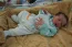 Beb Heitor Felipe, dos papais Paloma Luiza e Felipe. Foto 2