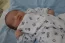 Beb Luiz Henrique, dos papais Graziele e Luiz Henrique. Foto 3