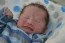 Beb Gabriel, dos papais Elisangela e Maxwell. Foto 3