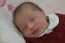 Beb Clara, dos papais Aline e Dalmo Carlos. Foto 1