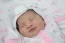 Beb Helosa, dos papais Andressa Julia e Silas Jos. Foto 1