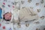 Beb Miguel,dos papais Karina e Pedro Gustavo. Foto 2