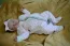 Beb Liz, dos papais Priscila Gabriela e Lucas Vicente. Foto 3