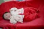 Beb Sofia, dos papais Mirian e Ismael. Foto 3