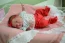 Beb Alcia, dos papais Rafaela Cristina e Joo Victor. Foto 1