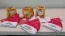 Hospital Unimed Bauru distribui presentes e minipanetones para todos os pacientes. Foto 1