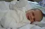 Beb Eduardo, dos papais Francine e Gustavo. Foto 3