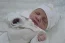 Beb Enrico, dos papais Isabella Fernanda e Rafael. Foto 3
