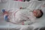 Beb Beatriz, dos papais Daiani e Wellington. Foto 1