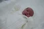 Beb Noah, dos papais Eliselle e Luis Gustavo. Foto 3