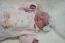 Beb Maria Eduarda, dos papais Karla e Rodrigo. Foto 2