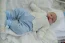 Beb Samuel, dos papais Livia e Guilherme. Foto 3