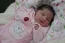 Beb Rebecca, dos papais Elysandra e Pedro Felipe. Foto 2