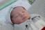 Beb Guilherme, dos papais Iza Helena e Leandro. Foto 1