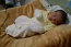 Beb Evandro, dos papais Ana Ligia e Evandro. Foto 3