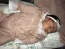 Beb Sophia, dos papais Nayara Amanda e Luiz Gustavo. Foto 2