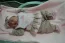 Beb Mait, dos papais Ana Carla e Guilherme. Foto 3