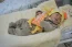 Beb Joaquim, dos papais Ana Cecilia e Thiago. Foto 3