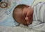 Beb Leonardo, dos papais Juliana Cristina e Guilherme. Foto 1