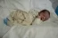 Beb Murilo, dos papais Cleomaria Evelyn e Danilo. Foto 3