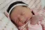Beb Missie Maria, dos papais Isabella e Marcelo Henrique. Foto 1