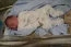 Beb Matheus, dos papais Karina e Fabricio. Foto 3