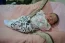 Beb Laura, dos papais Adrielen Cristina e Rafael. Foto 3