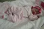 Beb Liz Vitoria, dos papais Grazieli Cristina e Gabriel. Foto 3