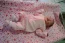 Beb Luiza, dos papais Tatiana e Luiz Gustavo. Foto 3