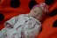 Beb Aurora, dos papais Thifani Rafaeli e Guilherme Fernando. Foto 2