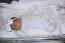 Beb Isabela, dos papais Jakeline e Tiago. Foto 3