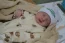 Beb Ettore, dos papais Flavia e Rodrigo. Foto 2