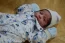 Beb Davi, dos papais Rebeca e Daniel. Foto 2