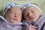 Bebs Lara e Clara, dos papais Tatiana Helena e Carlos Eduardo. Foto 1