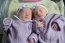 Bebs Lara e Clara, dos papais Tatiana Helena e Carlos Eduardo. Foto 2