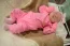 Beb Giulia, dos papais Bruna Giovana e Edson. Foto 3