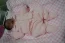 Beb Alice, dos papais Fabiana Angelica e Andreson. Foto 3