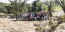 Bauru ganha 600 rvores em ao promovida pela Unimed. Foto 1