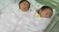 Bebs Alice e Valentina, dos papais Liciane Cristina e Rodrigo. Foto 2