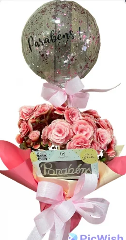 Begoninha Parabns