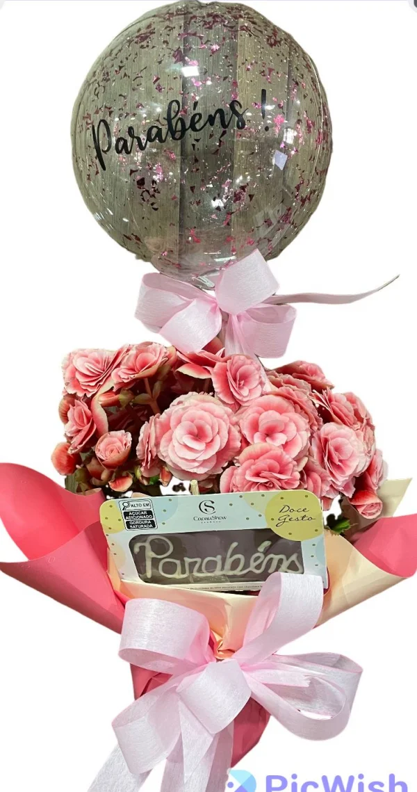 Begoninha Parabns