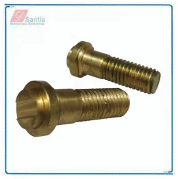 1811 - Parafuso Bobina de Campo Caterpilar/Delco Remi