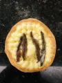 E.Aliche Com Catupiry E.Aliche Com Catupiry